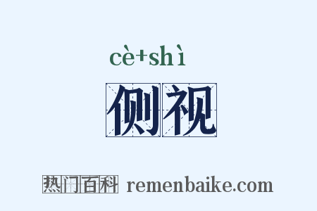 侧视是什么意思的图片